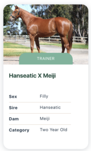 Racehorse